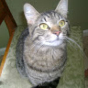 Meet your Posher, Kari